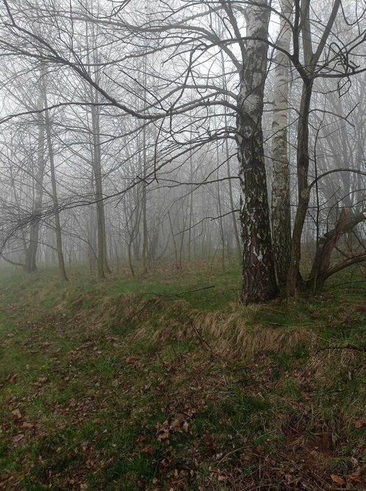 Sprzedam wyjątkową działkę budowlaną z widokiem na Babią Górę – Makowska Góra, Maków Podhalański - Widok 5