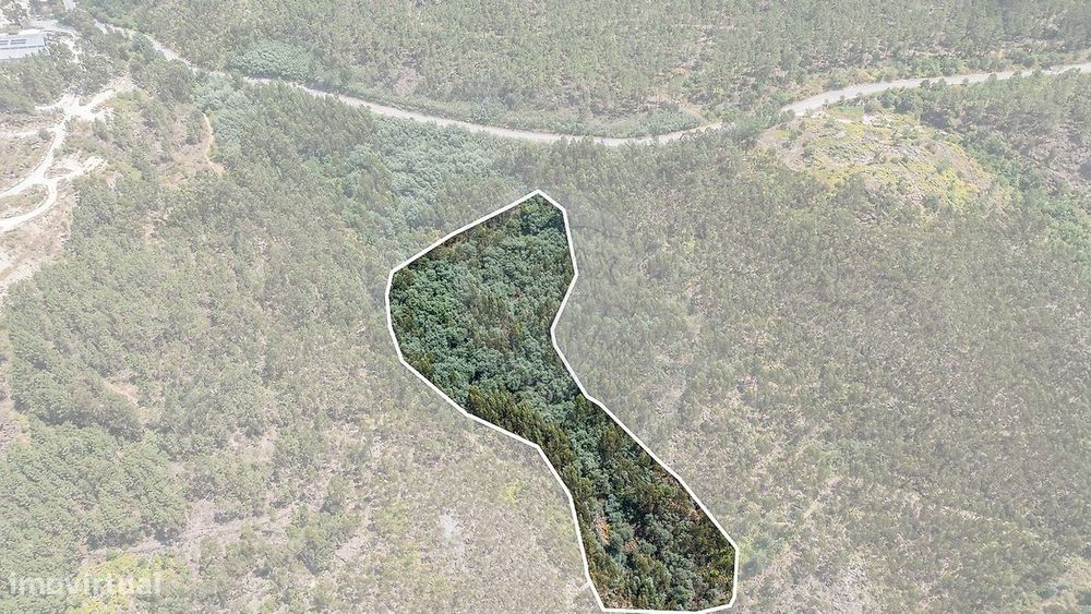 Terreno  para venda