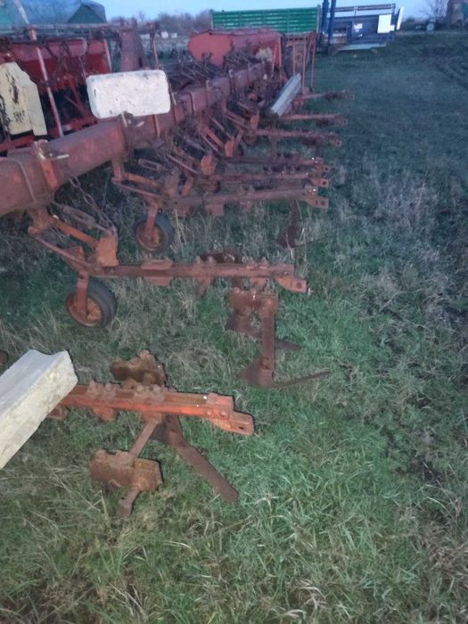 Прополушний бурячний