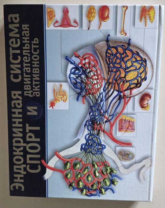 Книга Ендокринна система, спорт і рухова активність