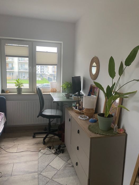 Pokój na wynajem