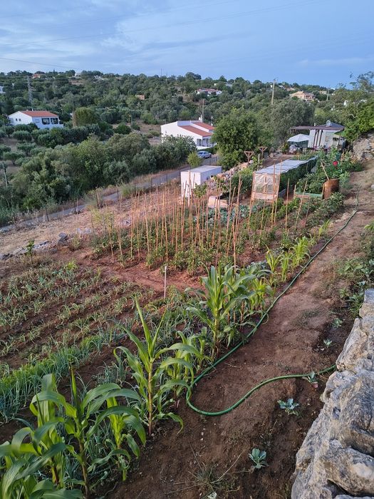 Terreno com Casa Móvel