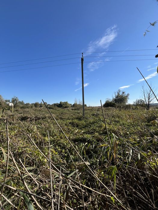 Продаж дідянки 2.9 га Романків , Ходосівка ,під будівництво