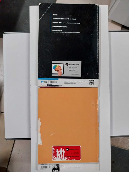 Manual espanhol 10 ano