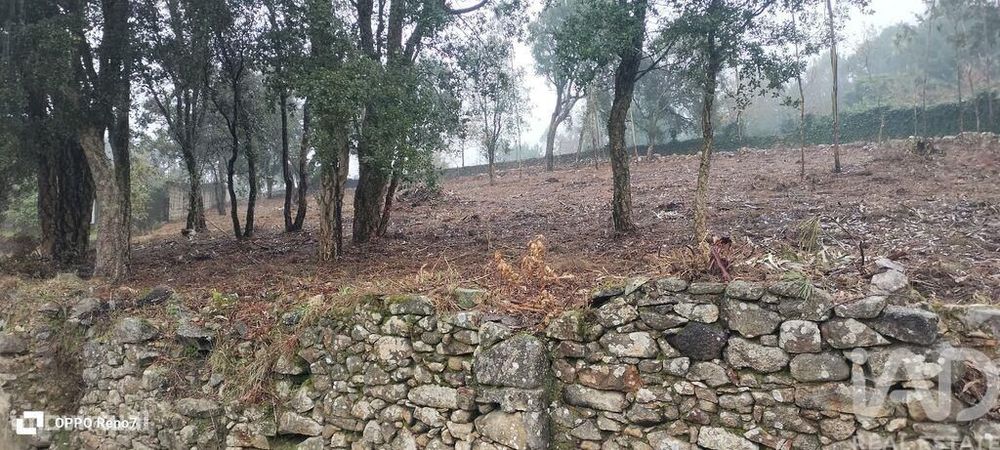 Terreno em Fornelo e Vairão