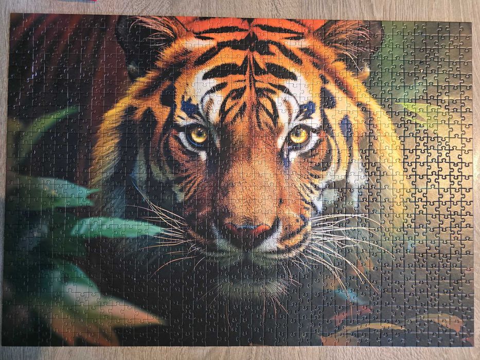 Puzzle Dziki tygrys