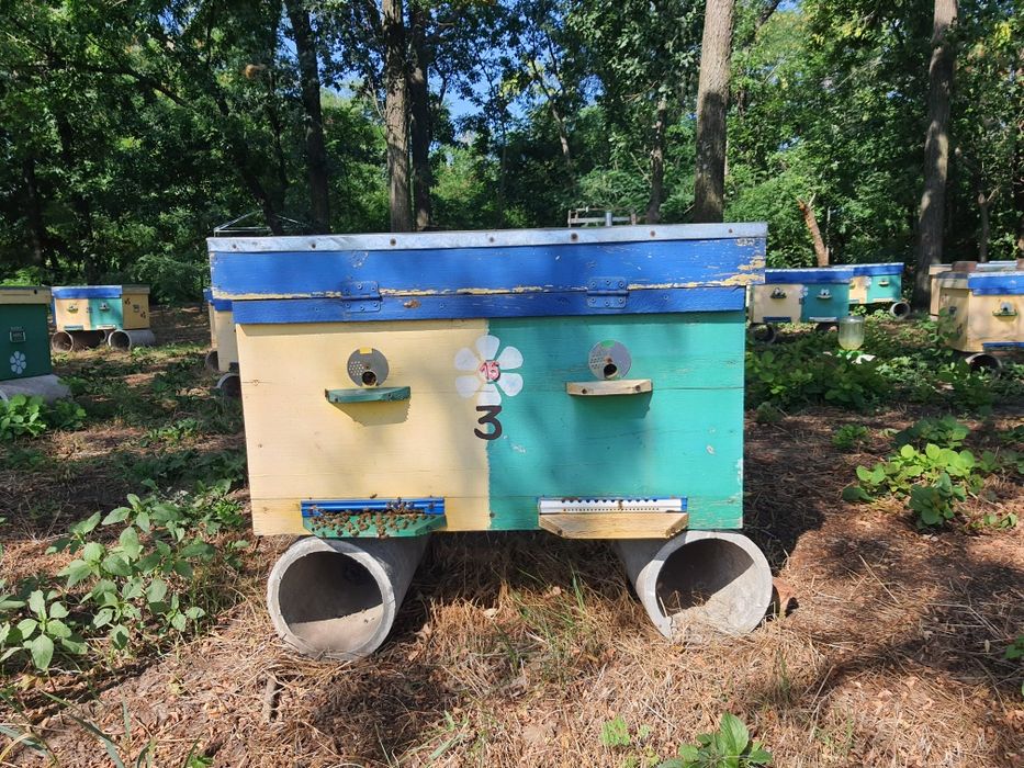 Улья 20 рамочные