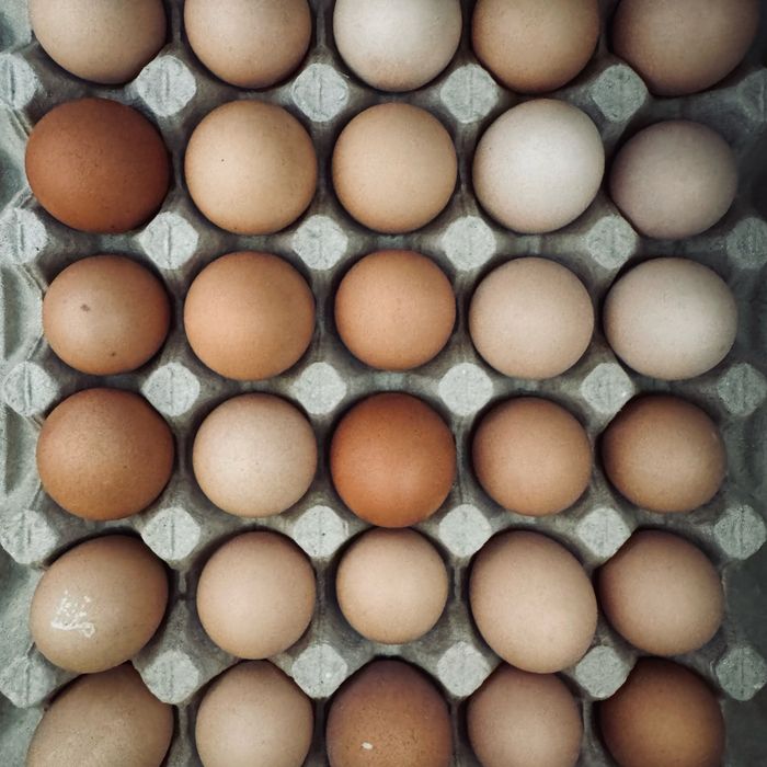 Яйця курячі столові
