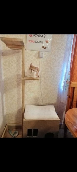 Domek dla kota duży. Legowisko.Drapak