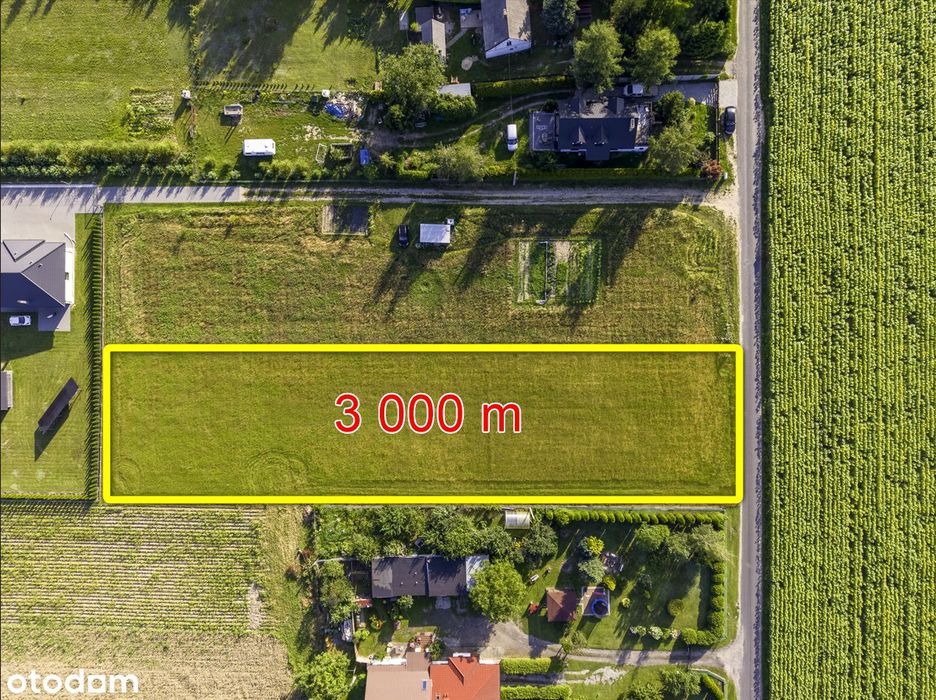 Działka budowlana, warunki zabudowy SULNOWO obok las, jezioro - Widok 3