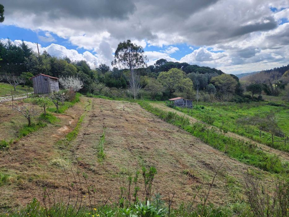 Aluguer Terreno rustico para exploração agricola / animal