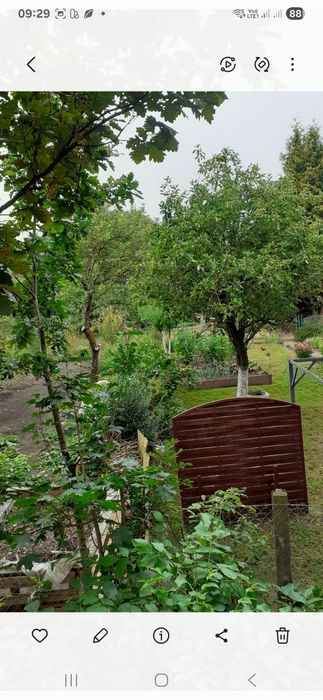 Działka ROD 300 m² z murowaną altanką Wrocław, Park Wschodni Rod oławka Krakowska,obok kościuszki,tarugutta - Widok 2