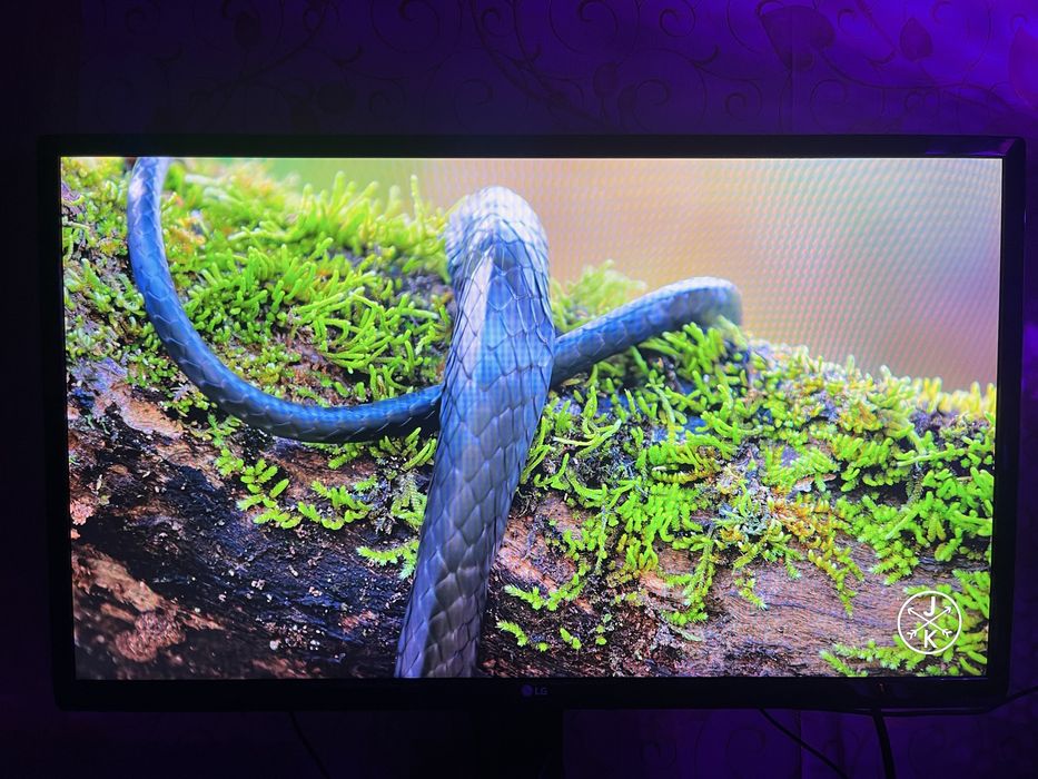 Монитор LG 24 fullHd ips