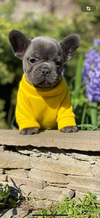 Мальчикв голубом окрасе