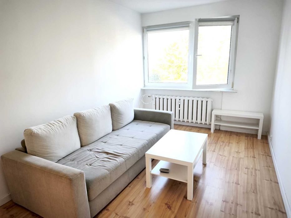 2 pokoje na wynajem