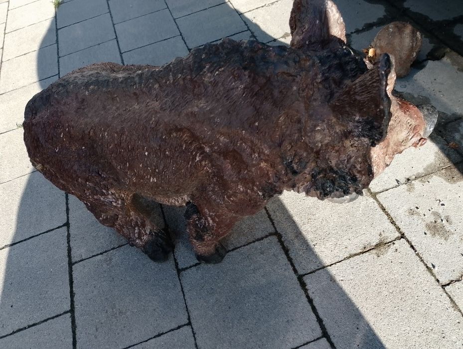 Figura rzeźba ogrodowa dekoracja ozdoba dzik