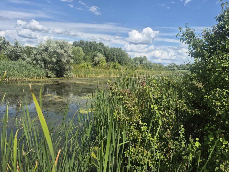 Земельна ділянка 20 соток у Дахнівці — прямий вихід до води - Більше
