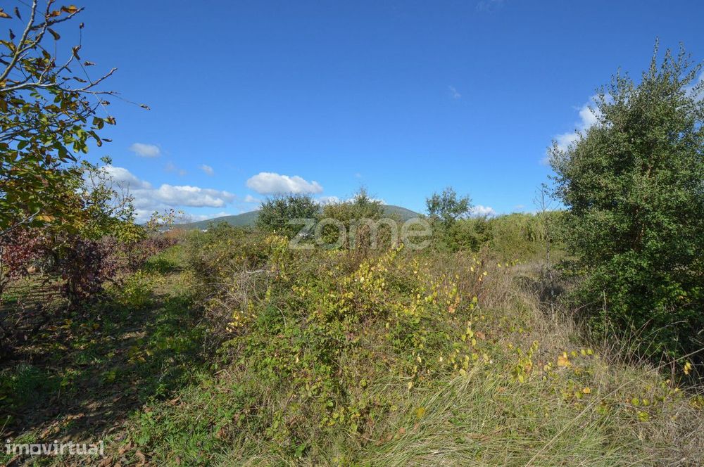 Terreno à venda em Estribeiro – Pinhal (Alenquer)