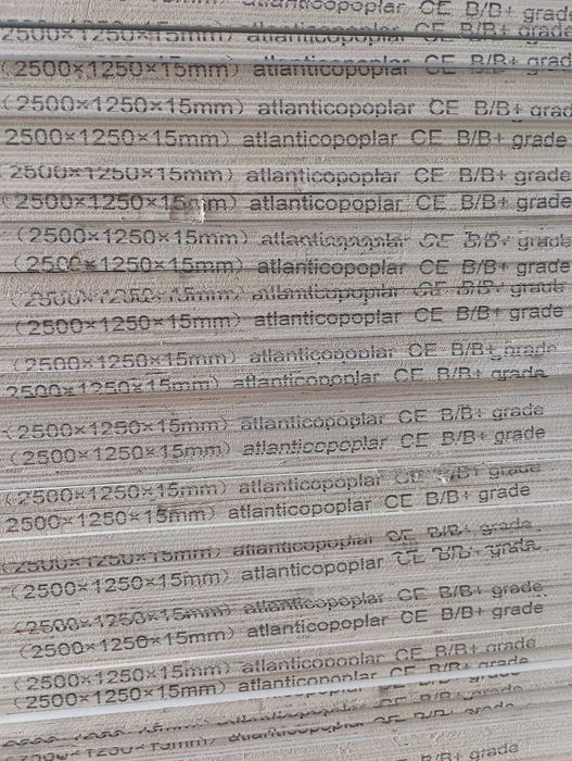 Contraplacado Choupo Atlantico Poplar B+/B