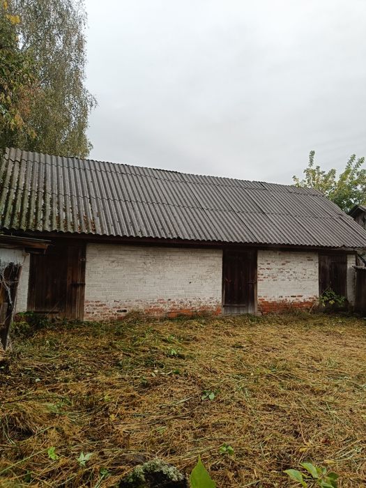 Будинок у мальовничому селі біля Десни, лісів та озер