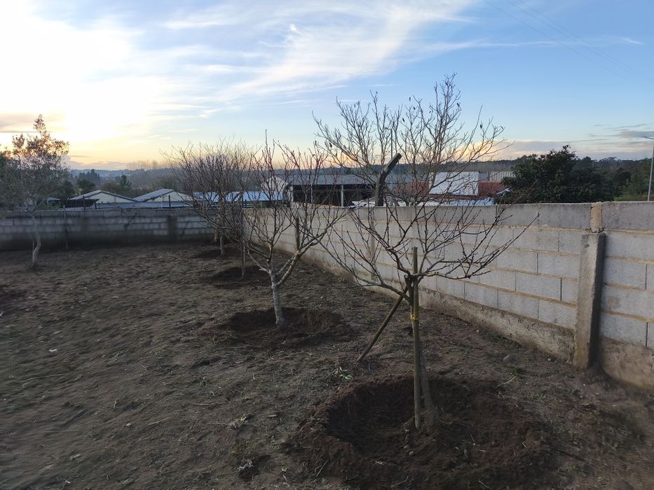 Jardins e afins com dedicação