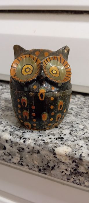 Mochos e corujas