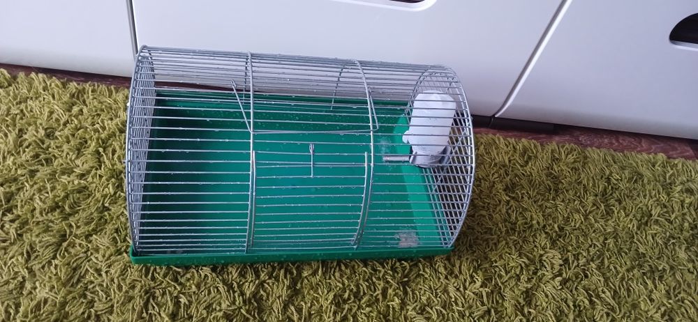 Клетка и поиска для хомячка хомяка