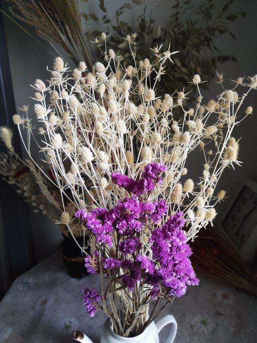 Сухоцветы  квіти та трави    Сухоцвіти