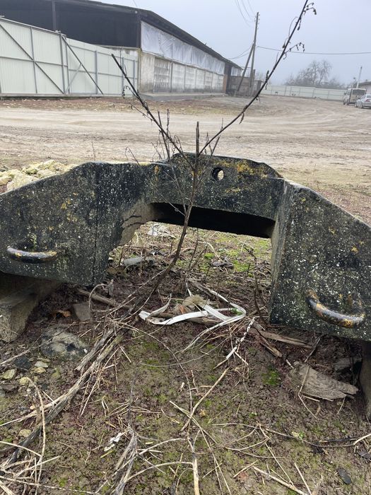 Протівовєс до кари