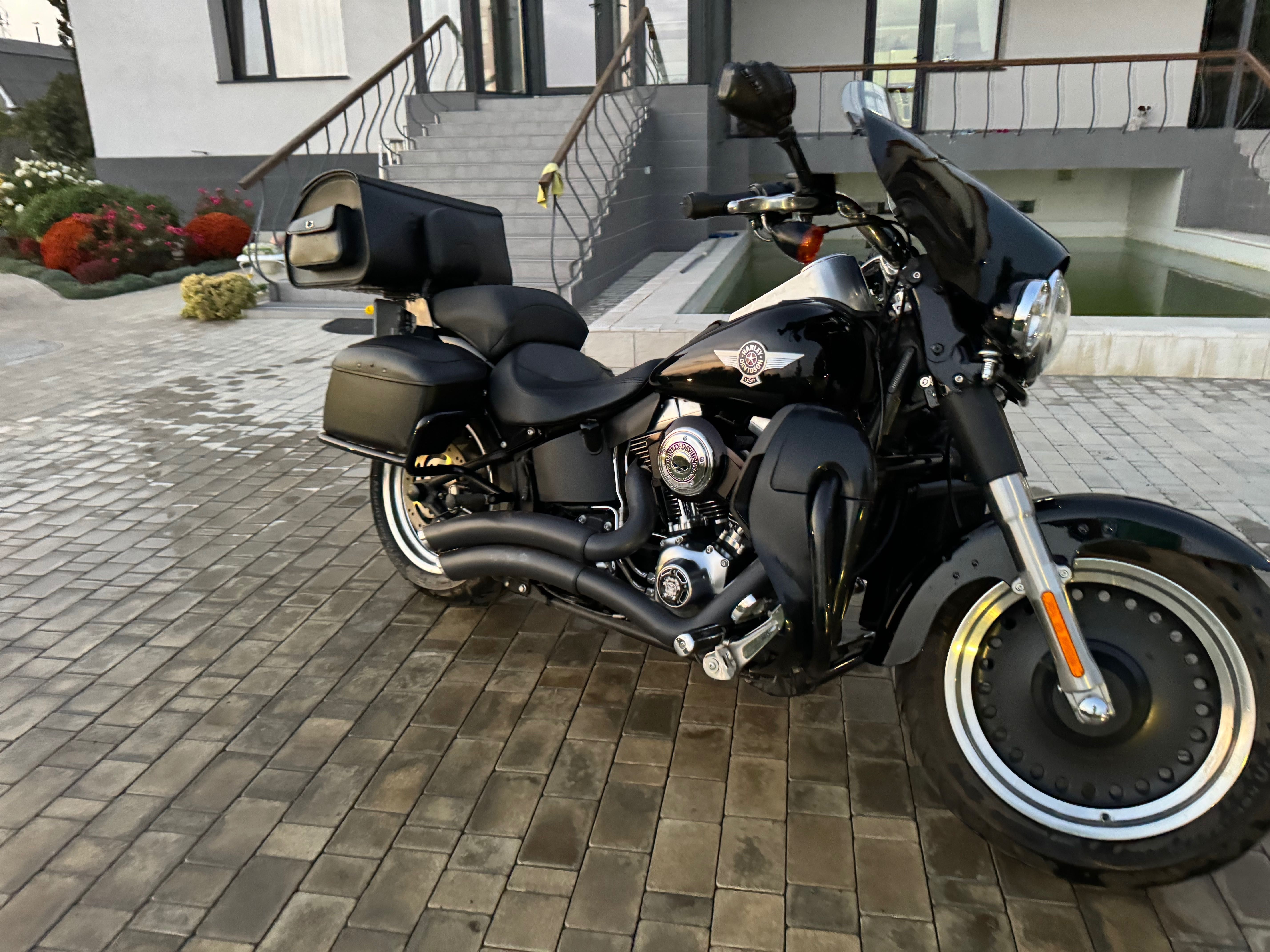 Harley fat boy olx online
