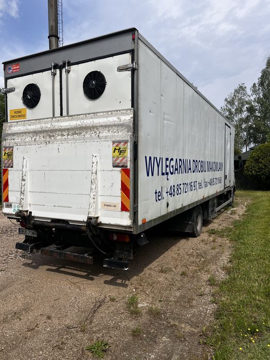 DAF LF 55.220 izoterma przewóz piskląt