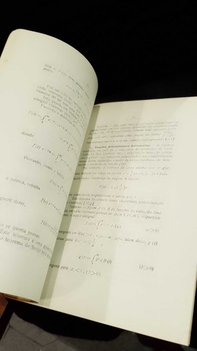 Teoria do Prolongamento Analítico das séries de Dirichlet - Sixto Rios