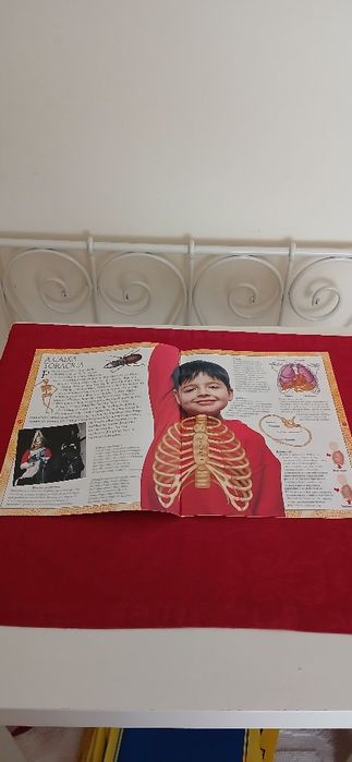 Fascículos de O Corpo Humano de 2003