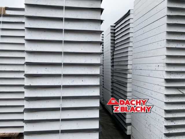 Styropapa 10cm EPS100-036