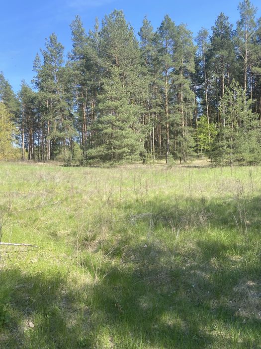Продам земельну ділянку 15 соток під забудову або приватну сонячну станцію
