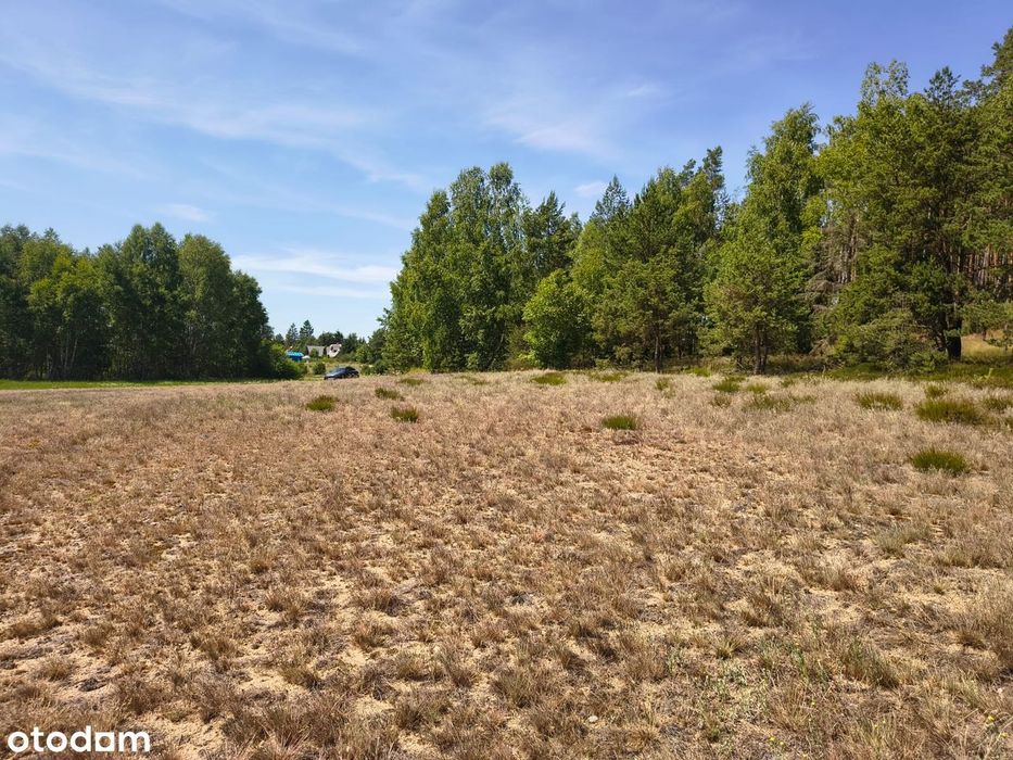 Działka budowlana około 1000m² blisko jeziora - Widok 5