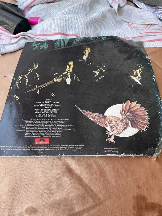 lp vinil gone to earth