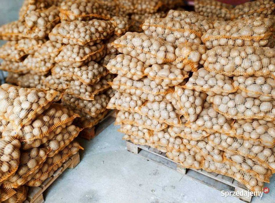 Ziemniaki Jadalne 15 kg