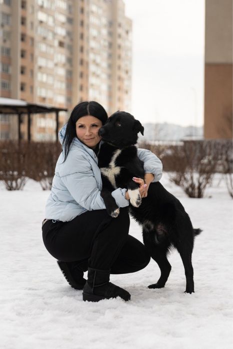 Віддам собаку в добрі руки