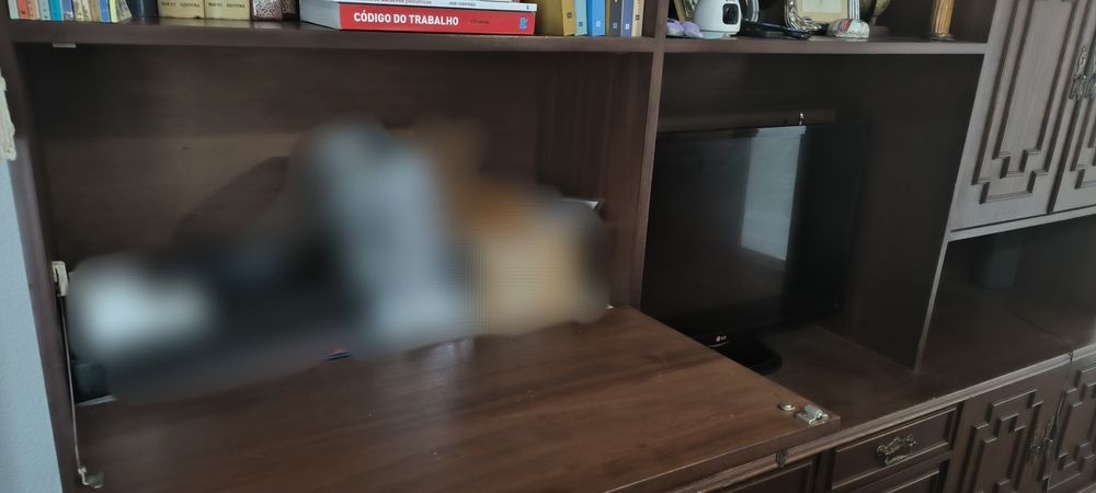 Móvel de sala de estar