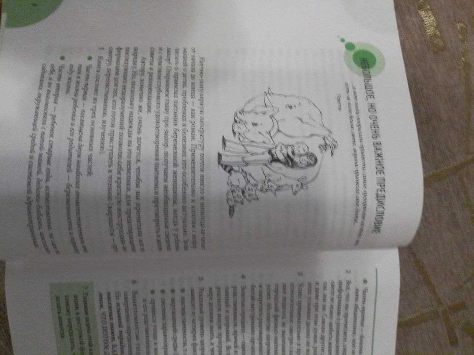 Здоровье ребенка и здравый смысл его родственников Е. О. Комаровский