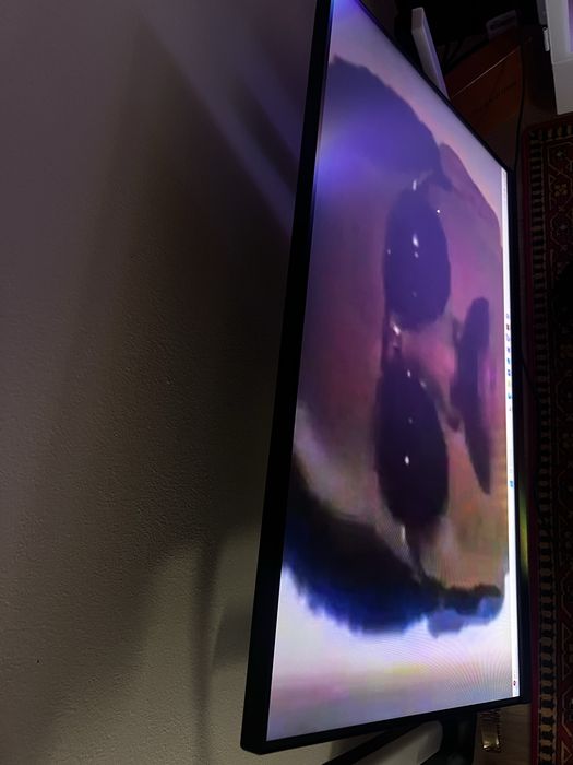 Monitor msi 170 hz
