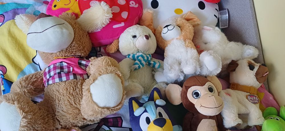 mega zestaw zabawek dla dziecka Bluey, Hello Kitty, Arka itp