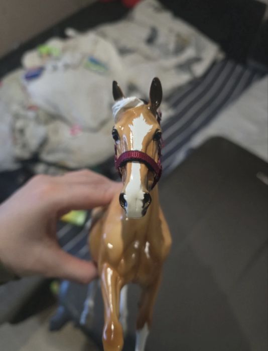 Breyer Traditional - Slainte Surprise Glossy