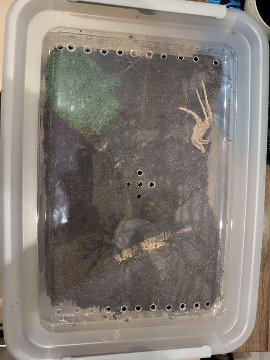 Terrarium plastikowe na zamówinie