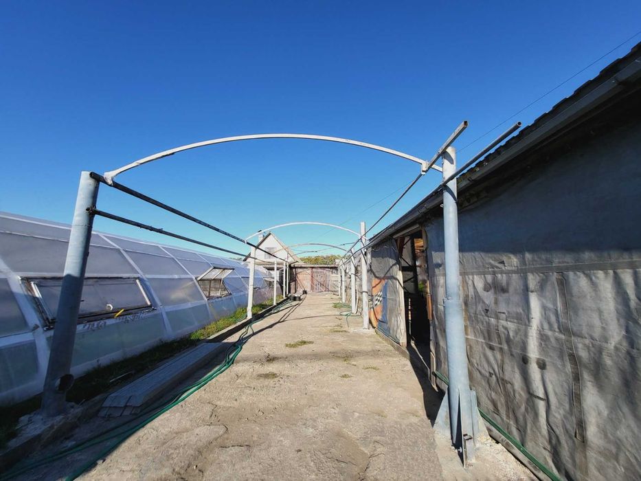 (8) Продається будинок з ділянкою в с. Гавришівка 9890