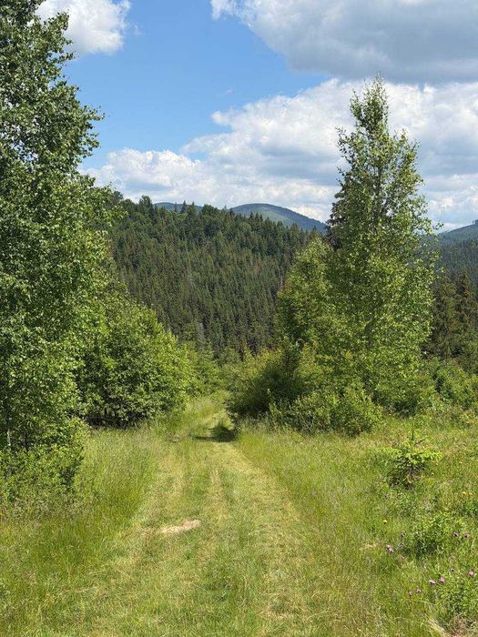 Земельна ділянка с. Вишків