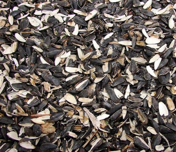 Купую лушпиння соняшника, відходи соняшника.