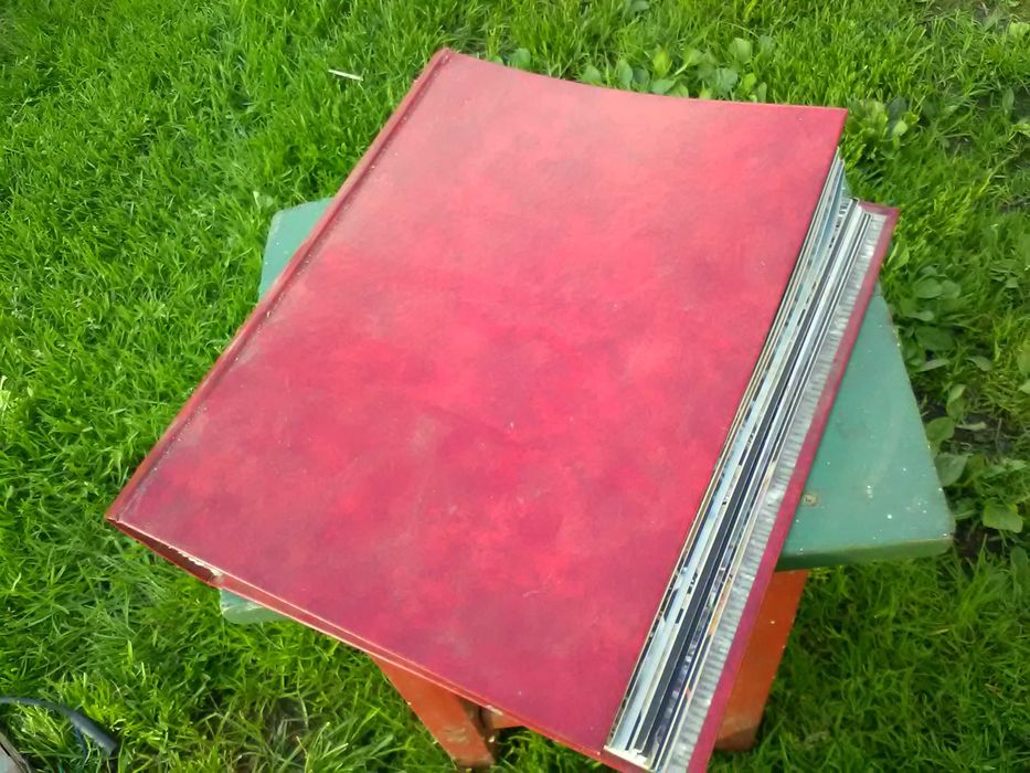 prenumerata gazet Birds