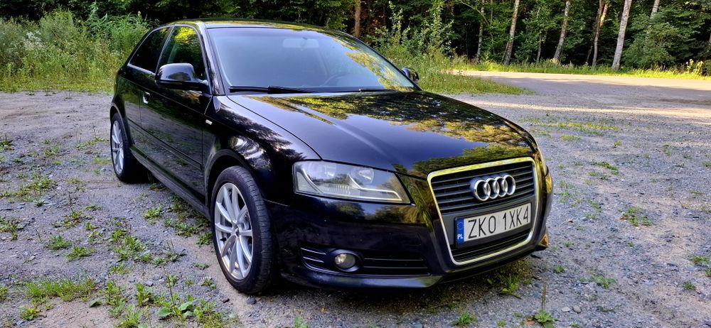 Audi a3 8P lift 2.0 tdi